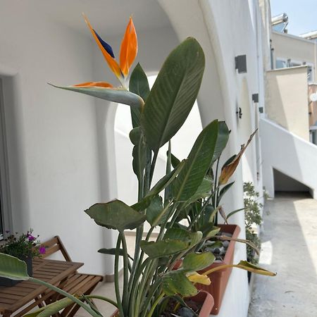 To Spitaki Sas, In Santorini! Daire Mesaria Dış mekan fotoğraf